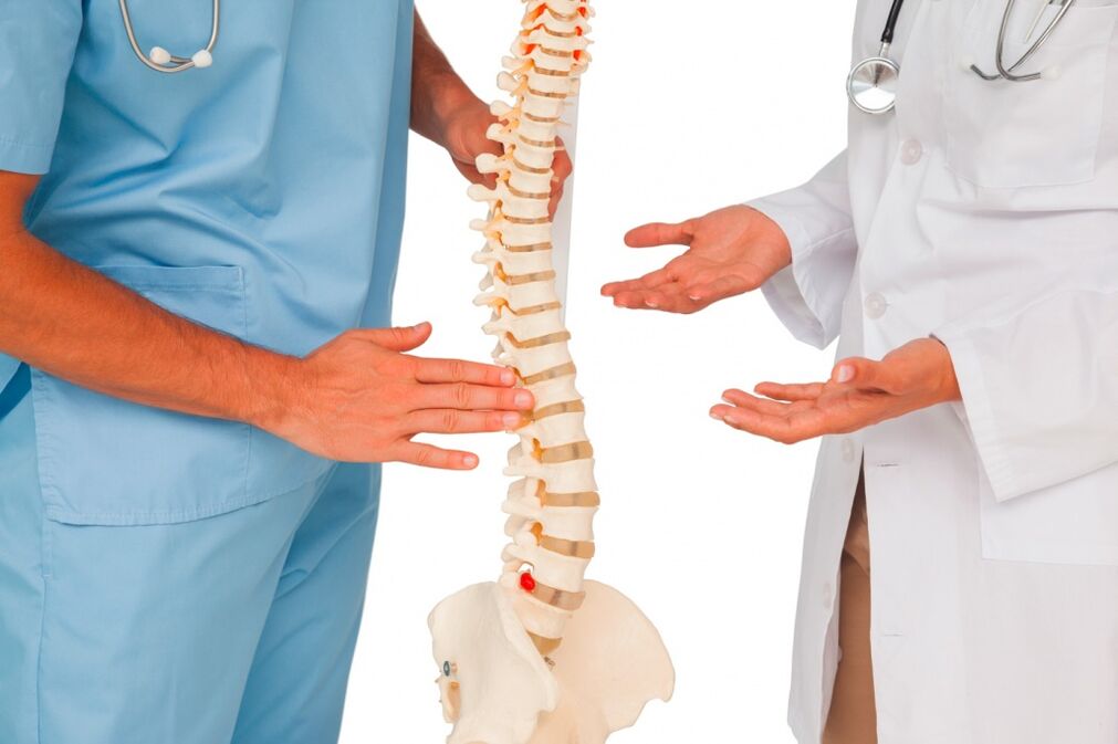 O médico mostra a estrutura da coluna vertebral em um modelo